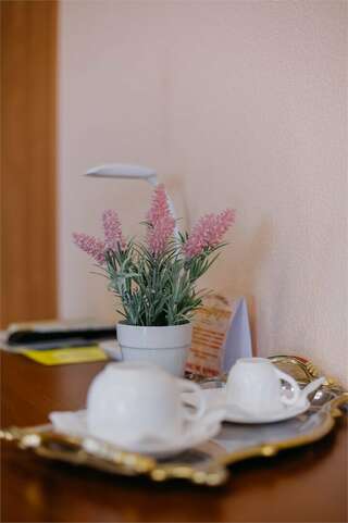 Гостиница Комфорт Липецк Однокомнатный Люкс "Джуниор сюит"-8