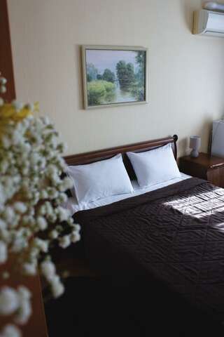 Гостиница Комфорт Липецк Номер стандарт улучшенный с 1 двуспальной кроватью-1