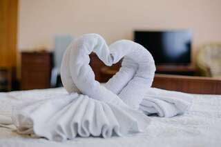 Гостиница Комфорт Липецк Однокомнатный Люкс "Джуниор сюит"-9